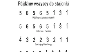 Pójdźmy wszyscy do stajenki chwyty na gitarę - łatwe akordy dla każdego