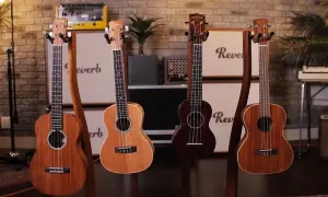 Cztery ukulele na stojaku. Zastanawiasz się, jak wybrać ukulele? Oto kilka opcji.