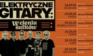 Co ja tutaj robię elektryczne gitary – znaczenie i historia piosenki