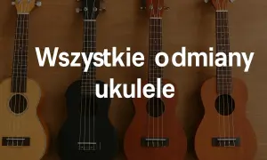 Cztery ukulele, każde z nich ma cztery struny. Poznaj wszystkie odmiany tego instrumentu.