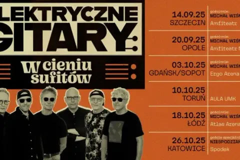 Co ja tutaj robię elektryczne gitary – znaczenie i historia piosenki