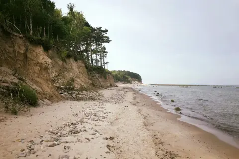 Skarpa porośnięta drzewami opada na piaszczystą plażę z kamieniami, na jednej z dzikich plaż. W oddali widać morze i drewniane pale.