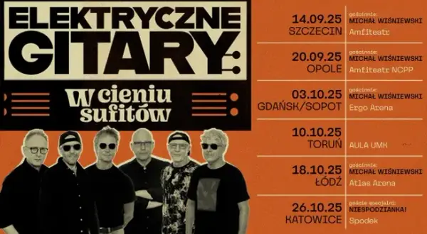 Co ja tutaj robię elektryczne gitary – znaczenie i historia piosenki
