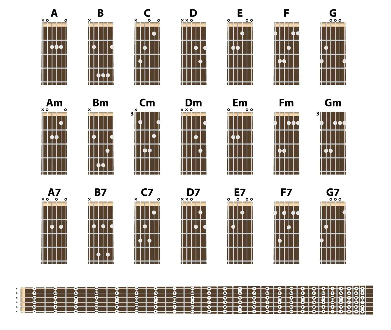 Najlepsze chwyty na gitarę basową, które ułatwią naukę gry