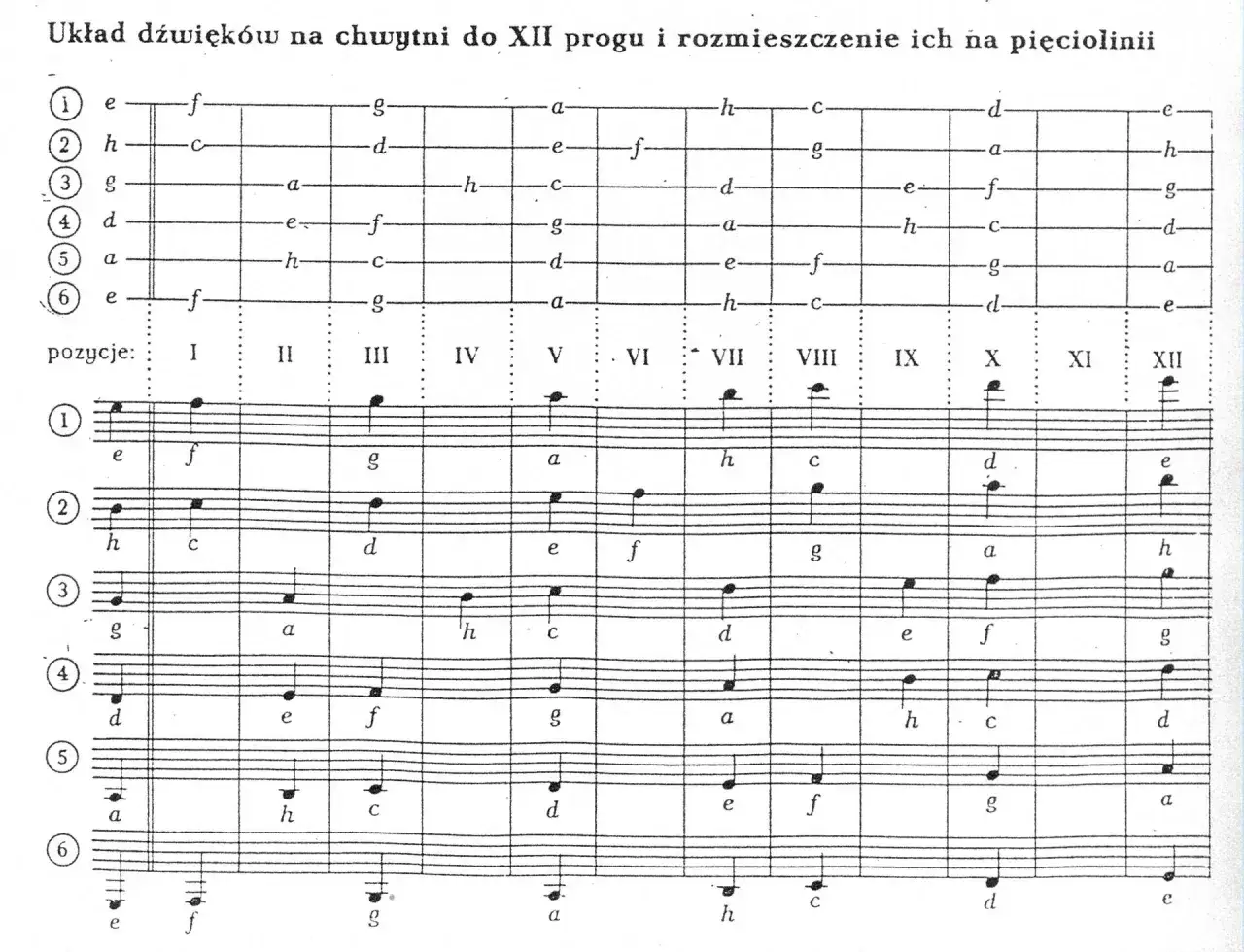 Diagram pokazuje, jak czytać nuty gitarowe, prezentując rozmieszczenie dźwięków na gryfie i pięciolinii.